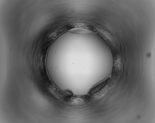 X0000098120572200804181523