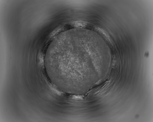 X0000098120573200804181523