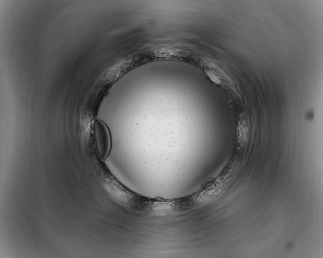 X0000098120574200804181523