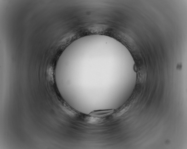 X0000098120575200804181523
