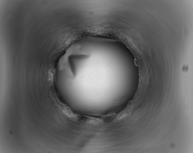 X0000098120576200804181523