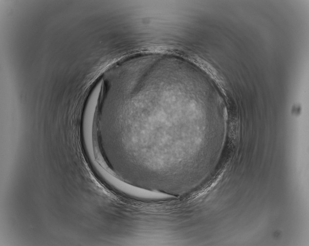 X0000098120577200804181523