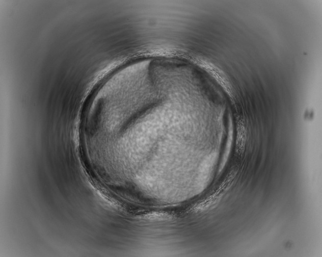 X0000098120578200804181523