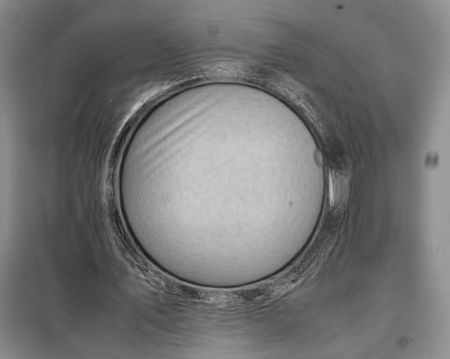 X0000098120579200804181523