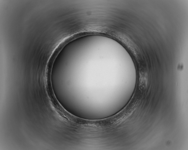 X0000098120580200804181523