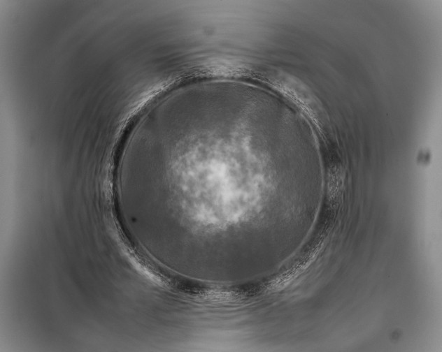 X0000098120581200804181522