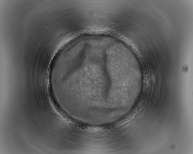 X0000098120582200804181522