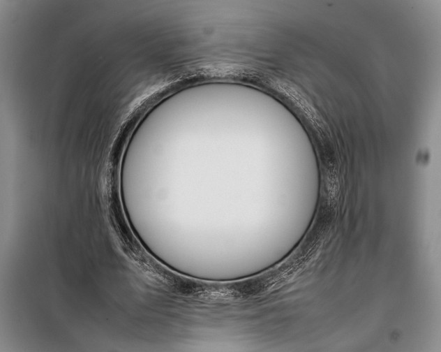 X0000098120583200804181522