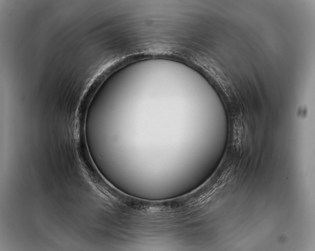 X0000098120584200804181522
