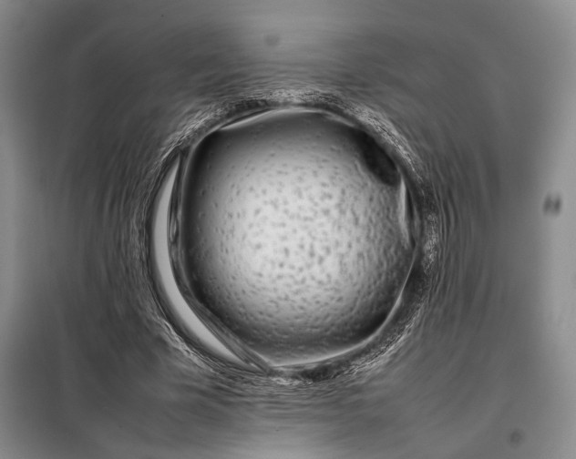 X0000098120585200804181522