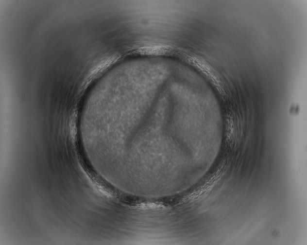 X0000098120586200804181522