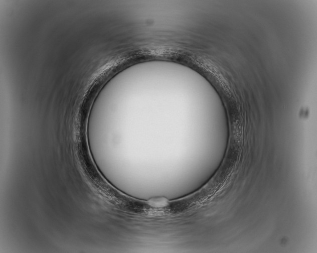 X0000098120587200804181522
