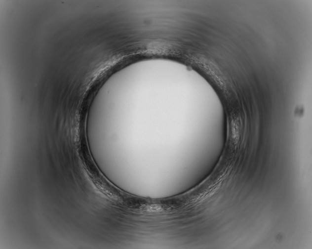 X0000098120588200804181522