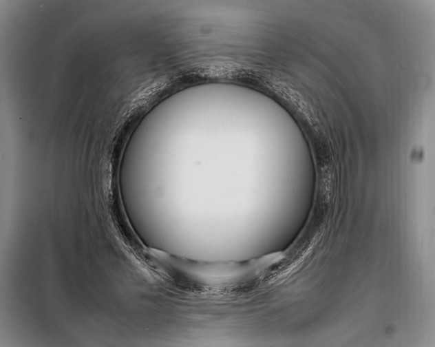 X0000098120589200804181522