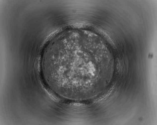X0000098120590200804181522