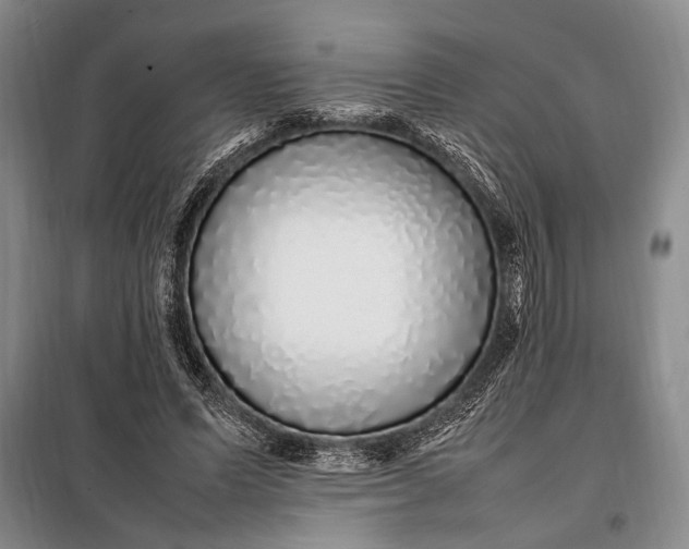 X0000098120591200804181522