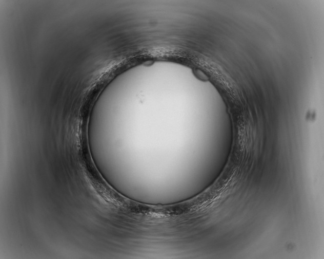 X0000098120592200804181522