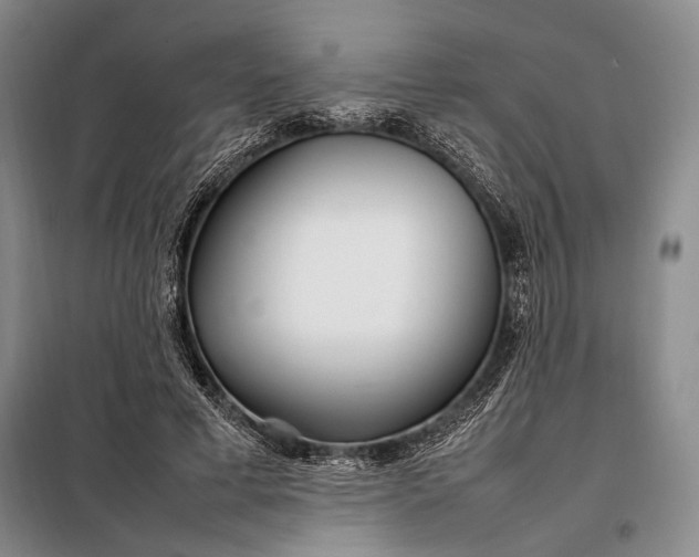 X0000098120593200804181522