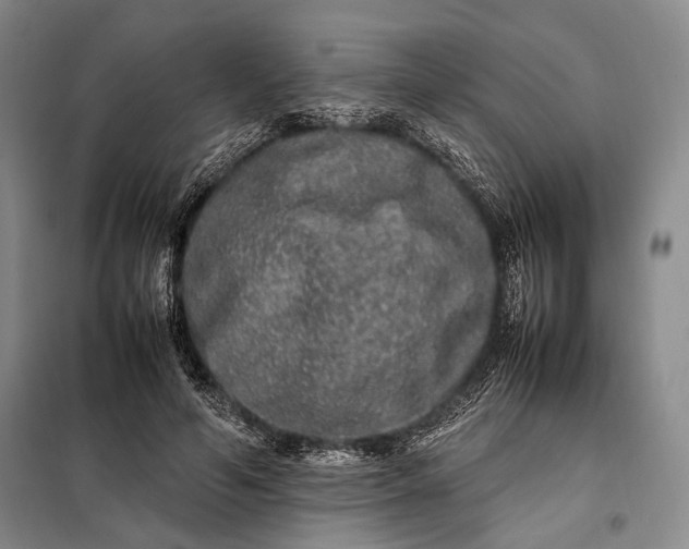 X0000098120594200804181522