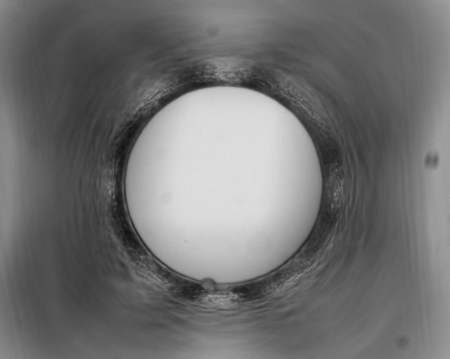 X0000098120595200804181522
