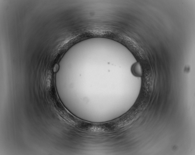 X0000098120596200804181522