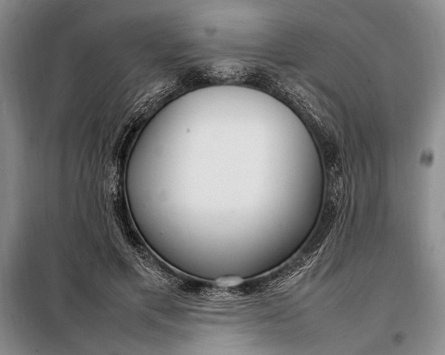 X0000098120597200804181522