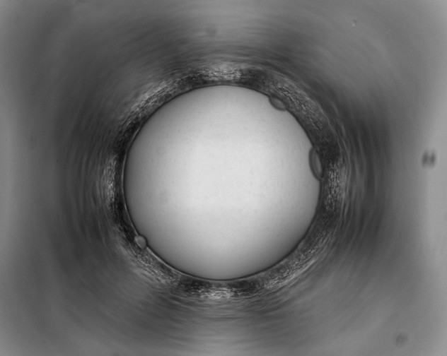 X0000098120600200804181522