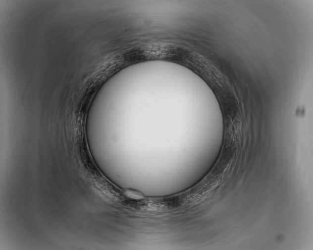 X0000098120601200804181522