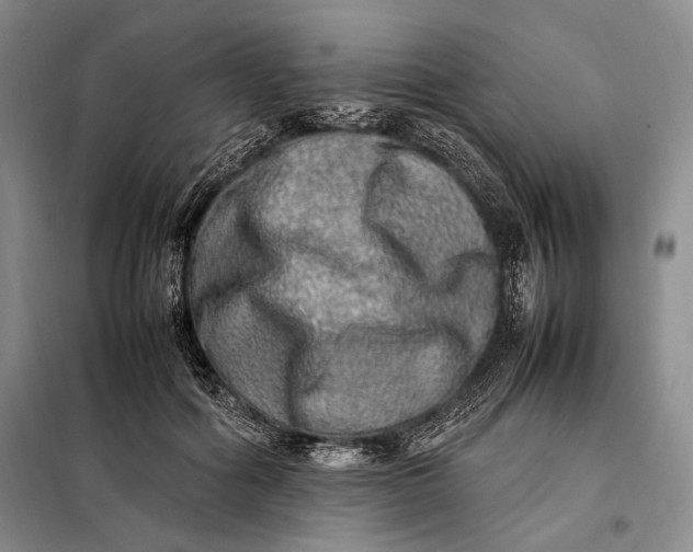 X0000098120602200804181522