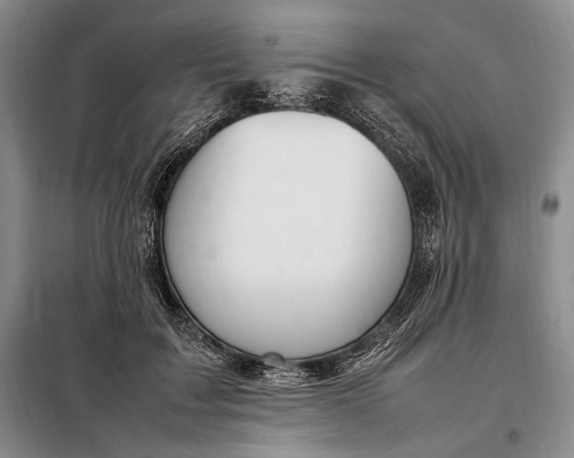 X0000098120603200804181522
