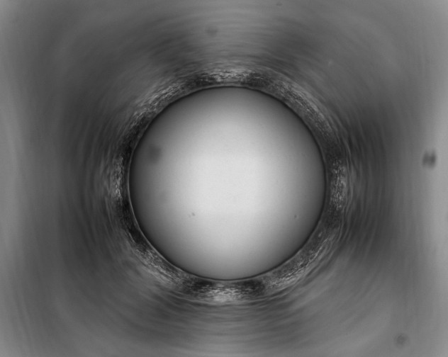 X0000098120604200804181522
