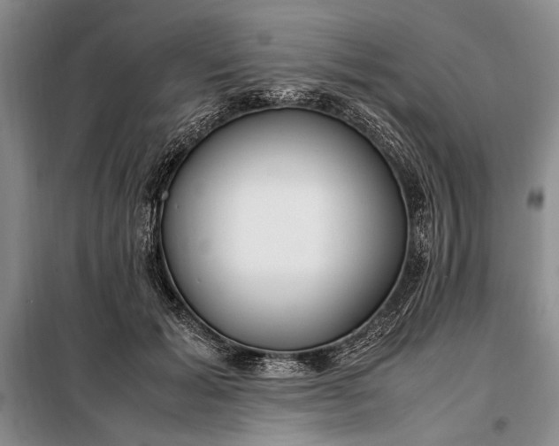 X0000098120605200804181522