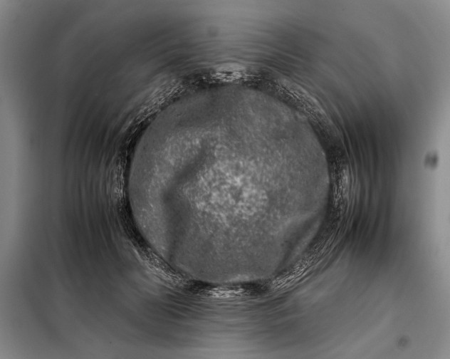 X0000098120606200804181522