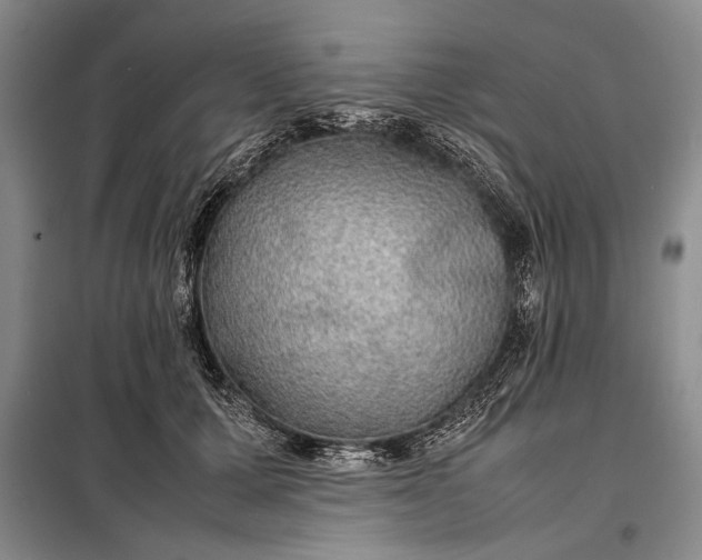 X0000098120607200804181522