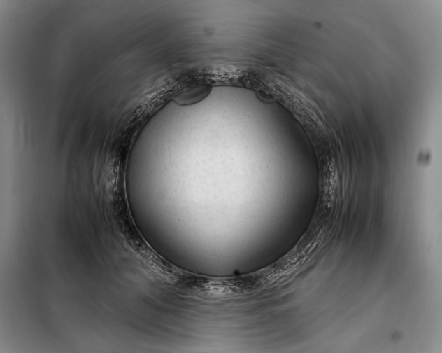 X0000098120608200804181522