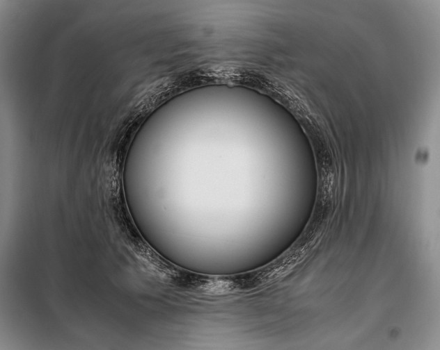 X0000098120609200804181522