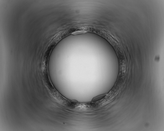 X0000098120611200804181522