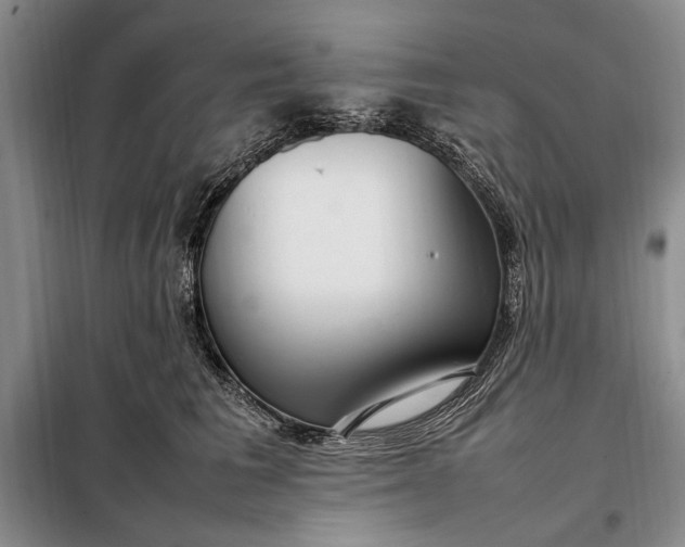 X0000098120613200804181522