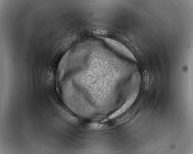 X0000098120614200804181522