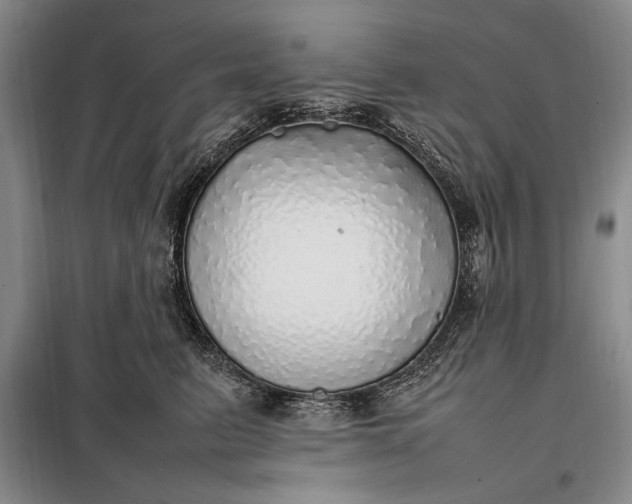 X0000098120615200804181522