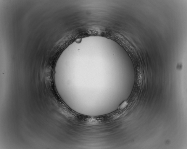 X0000098120616200804181522