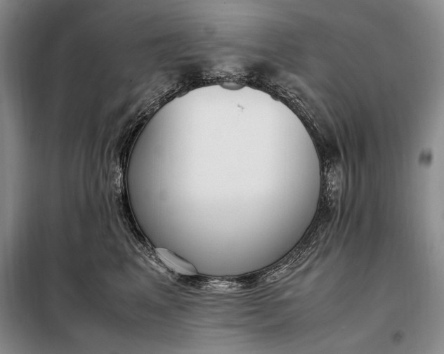 X0000098120617200804181522