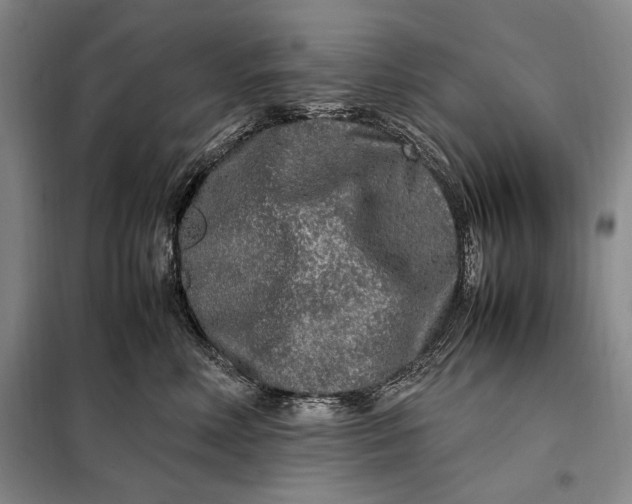 X0000098120618200804181522