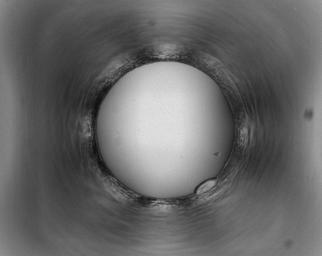 X0000098120620200804181522