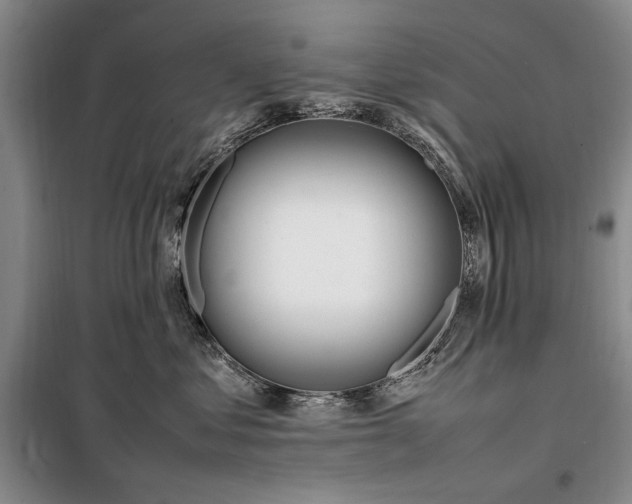 X0000098120621200804181522