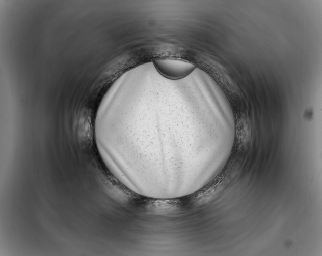 X0000098120622200804181522