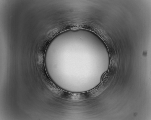 X0000098120623200804181522