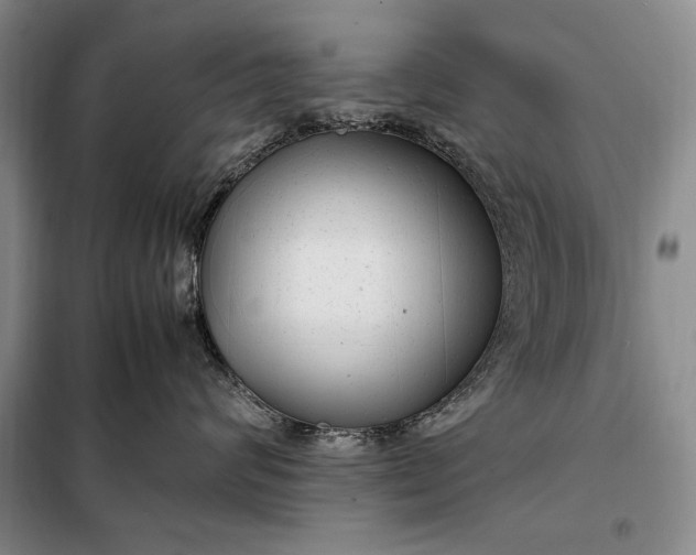 X0000098120624200804181522