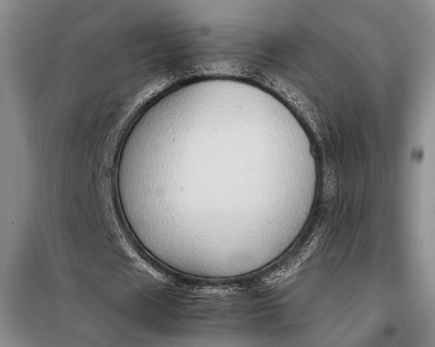 X0000098120625200804181521