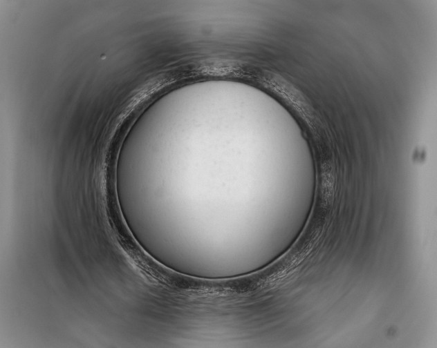 X0000098120626200804181521